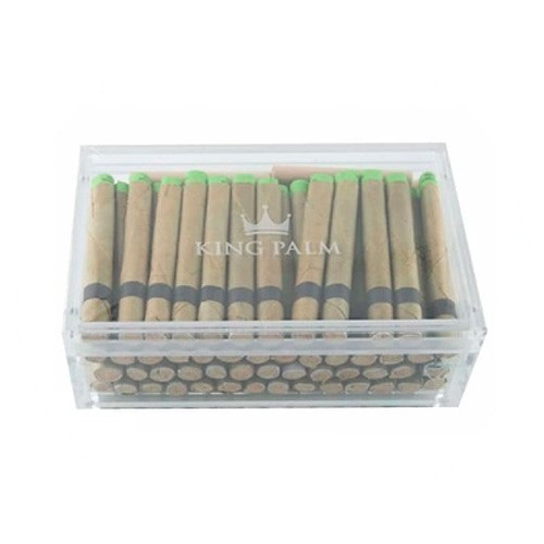 Kings palm  humidificadores