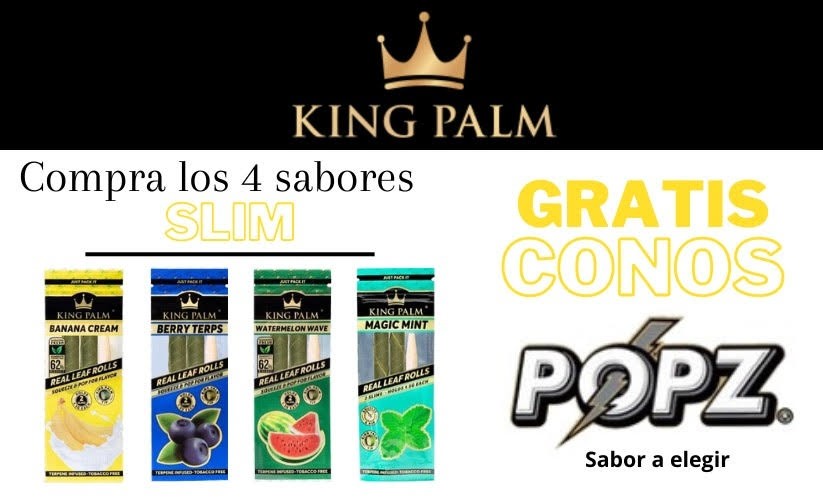 OFERTA x4 King Palm Sim + REGALO Popz Cones (Estuche 3 Conos)